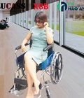 Hình ảnh: Xe lăn có bô vệ sinh bánh đúc Lucass X8B