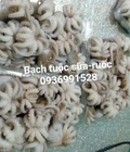 Hình ảnh: Bán bạch tuộc nhỡ giá tốt hà nội