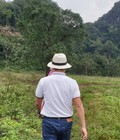 Hình ảnh: Chào bán hơn 200ha đất rừng, có thể chuyển đổi sang du lịch sinh thái, nghỉ dưỡng tại Quảng Bình