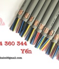 Hình ảnh: Cáp điều khiển SH 500, CT 500 Altek Kabel Chính hãng