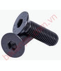 Hình ảnh: Bu lông lục giác chìm đầu bằng fhc bo series fhc bo M10x16