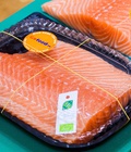 Hình ảnh: Giải đáp lý do khiến cá hồi Nauy Organic được nhiều người ưa chuộng hơn cả