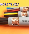 Hình ảnh: Cáp điều khiển CT500 12g0.5 Altek Kabel