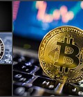 Hình ảnh: Tôi bỏ 3 tỷ để đào Bitcoin xanh nhưng thu về được 56 triệu đồng
