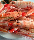 Hình ảnh: Tôm Càng Đỏ Nauy New Fresh Foods