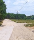 Hình ảnh: Cần Mua Đất Đường Bảo Đại Triệu Ái Triệu Phong Quảng Trị