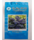 Hình ảnh: Hạt giống cải xoăn Kale tím Scarlet