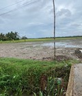Hình ảnh: Bán 3,000m2 đất tuyến tránh tt.Vĩnh Bình, Gò Công Tây, Tiền Giang. full thổ chỉ 4.8 tỷ. Lh:0973782662
