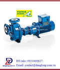 Hình ảnh: Máy bơm ly tâm Victor Pumps