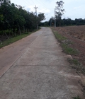 Hình ảnh: Bán đất vườn giá siêu Rẻ mùa covid, gần KCN, dân cư hiện hữu tại Bình Phước