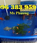 Hình ảnh: Thùng nhựa nuôi cá cảnh loại tròn và chữ nhật