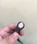Hình ảnh: Dây cáp điều khiển SangJin 10X0.5mm Chống nhiễu