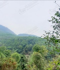 Hình ảnh: Bất động sản Hòa Bình Kỳ Sơn vị trí đắc địa, diện tích lớn cần bán gấp