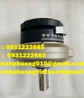 Hình ảnh: Festo DSR 32 180 P nhập khẩu