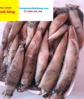Hình ảnh: Mực trứng đông lạnh hàng đẹp Ship từ 5kg
