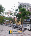 Hình ảnh: Bán siêu phẩm mặt đường Nguyễn Đức Cảnh, Lê Chân, HP 3t 189m2 ngang 5m vị trí vip kinh doanh cực tốt