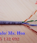 Hình ảnh: Cáp mạng UTP Cat5 lõi đồng 100%