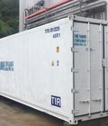 Hình ảnh: Vi em container lạnh 0909 588 357