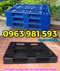 Hình ảnh: Pallet nhựa, pallet kê hàng