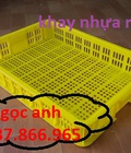 Hình ảnh: Cung cấp sọt nhựa đựng rau củ trong các siêu thị tại miền bắc, khay nhựa đựng nông sản