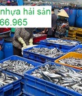 Hình ảnh: Bán thùng nhựa đựng hải sản cho ngư dân, thùng nhựa đặc, khay nhựa HS003,thung nhua