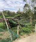 Hình ảnh: Đất chính chủ thôn Phú Hòa 1, Hòa Nhơn, Hòa Vang