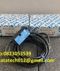 Hình ảnh: Cảm biến quang SICK Dòng WT9 2N130