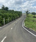 Hình ảnh: Đấ lâm đồng thổ cư 100m sổ sẵn riêng từng nền