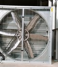 Hình ảnh: Quạt hút công nghiệp maxfan