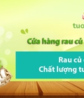 Hình ảnh: Cửa hàng bán rau củ quả online tại Gò Vấp