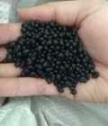 Hình ảnh: Hạt nhựa TPE Thermoplastic Elastomer