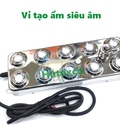 Hình ảnh: Vỉ phun sương 10 mắt 300w 48v