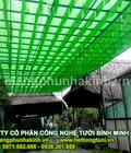 Hình ảnh: Lưới che nắng made in Thái Lan, lưới che nắng Đài Loan,lưới che nắng vườn ươm