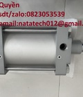 Hình ảnh: Cylinders festo DSBG 160 100 PPVA N30 chính hãng giá rẻ