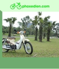 Hình ảnh: Những khái niệm bạn nên tham khảo về dòng xe cub 50cc tham khảo ngay