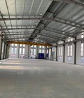 Hình ảnh: Cho thuê nhà xưởng 15.000 m2 Đường Thế Lữ, Tân Kiên, huyện Bình Chánh