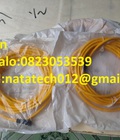 Hình ảnh: Cable PSEN 5,0m Winkel chính hãng giá rẻ