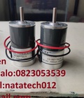 Hình ảnh: Permanent magnet DC motor WS 38ZYT64 R chính hãng giá rẻ