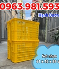 Hình ảnh: Thùng nhựa rỗng HS005, sọt nhựa 3T9