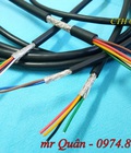 Hình ảnh: Cáp tín hiệu chống nhiễu 24awg x 2,4,6,8 lõi