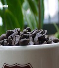 Hình ảnh: Cà phê hạt nguyên chất tại Thừa Thiên Huê thượng hạng gu mạnh giá sỉ