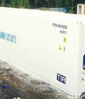 Hình ảnh: Thùng container lạnh 40feet chứa thực phẩm