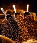 Hình ảnh: Cà phê hạt để được trong bao lâu Để lâu có tốt không