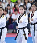 Hình ảnh: 1 số loại DỤNG CỤ VÕ học karate cần biết khi mới học