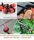 Hình ảnh: Kỹ thuật lắp đặt hệ thống tưới nhỏ giọt