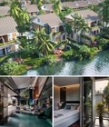 Hình ảnh: Bán biệt thự liền kề dự án khu đô thị ecopark