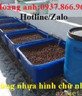 Hình ảnh: Bán thùng nhựa trồng sen, thùng nhựa nuôi ốc, thùng nhựa dung tích lớn