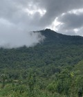 Hình ảnh: Bán lô đất 6000m tại thôn Mò Phù Chải. Mặt tiền 100m,view đẹp