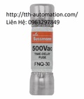 Hình ảnh: Cầu chì Bussmann FNQ 30