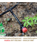 Hình ảnh: Tưới nhỏ giọt Azud tây ban nha, hệ thống tưới nhỏ giọt tiết kiệm nước
